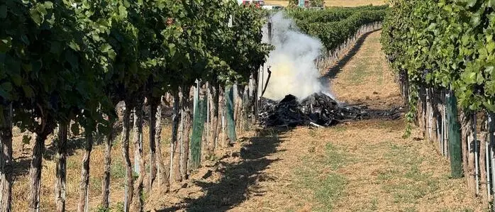Eines der Flugzeuge stürzte in einen Weingarten ab