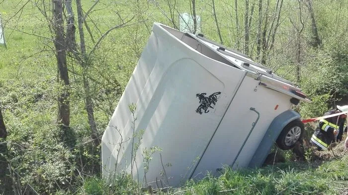 Pferdeanhänger landete im Graben, Menschen kamen bei dem Unfall nicht zu Schaden.