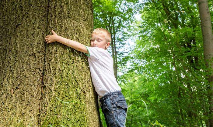 Unsere  Wälder sind der perfekte  Erholungsraum für Jung und Alt