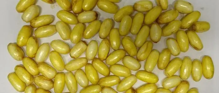 Ein Bodypacker ist am Flughafen Wien gestoppt worden