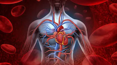 Rauchen macht das Herz krank