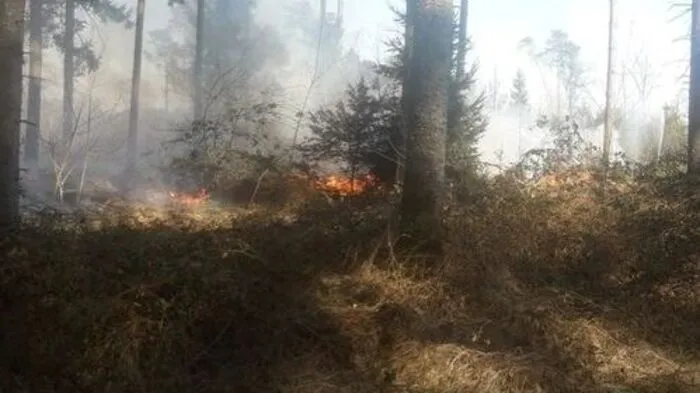 Die Rauchsäule, die der Waldbrand verursacht hat, sah man bis nach Bad Radkersburg