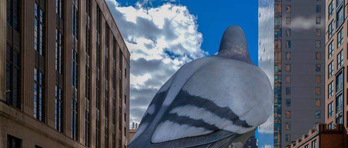 Die sechs Meter hohe Aluminium-Tauben-Skulptur des Bildhauers Iván Argote ist in Manhattan gelandet