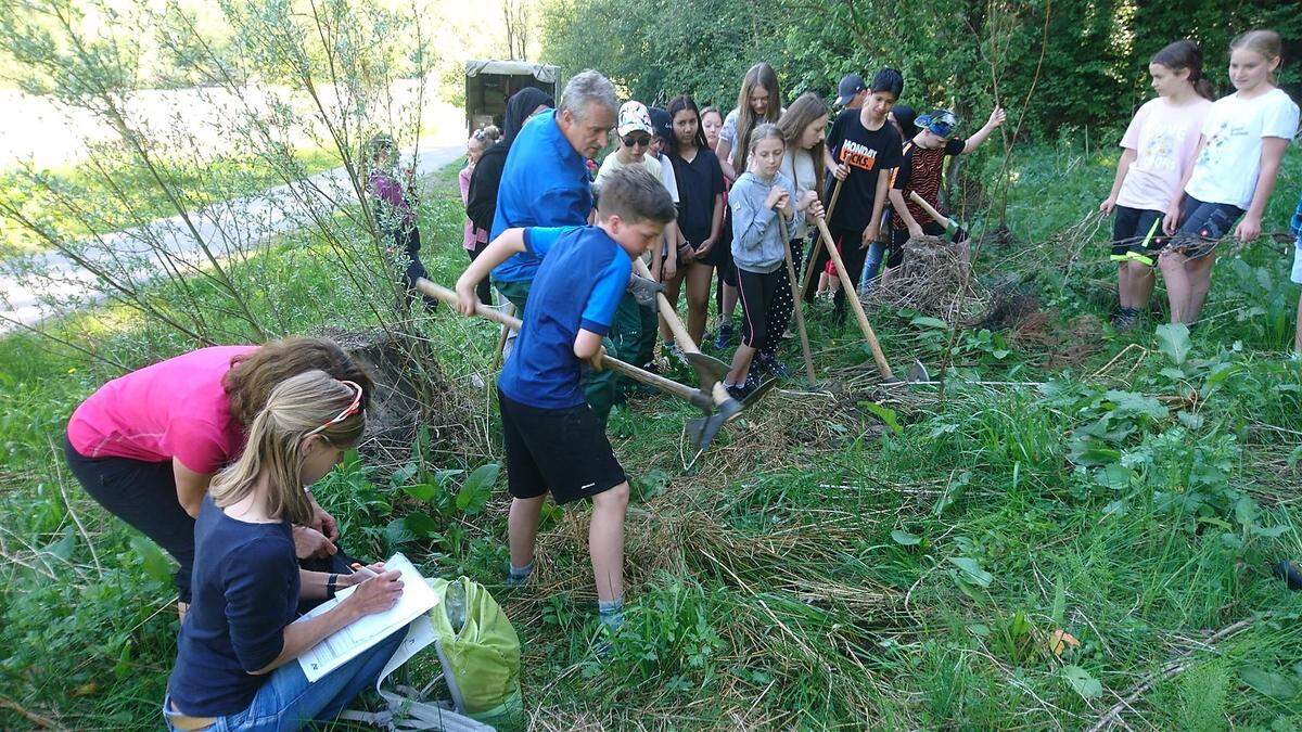 Die Experten zeigten den Schülern, wie man einen Baum richtig pflanzt