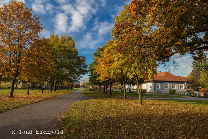 Der Herbst in Graz-Puntigam - dieses Bild stammt von Roland Eichwald.