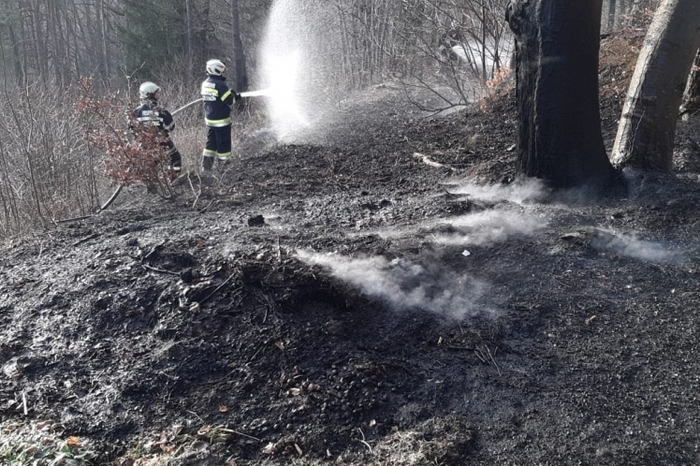 Die Freiwilligen Feuerwehren Großklein, Leutschach und St. Johann im Saggautal (der Alarm ging dort während des großen Kindermaskenfestes in der Saggautalerhalle ein) konnten das Feuer mit insgesamt 48 Kräften unter Kontrolle bringen.