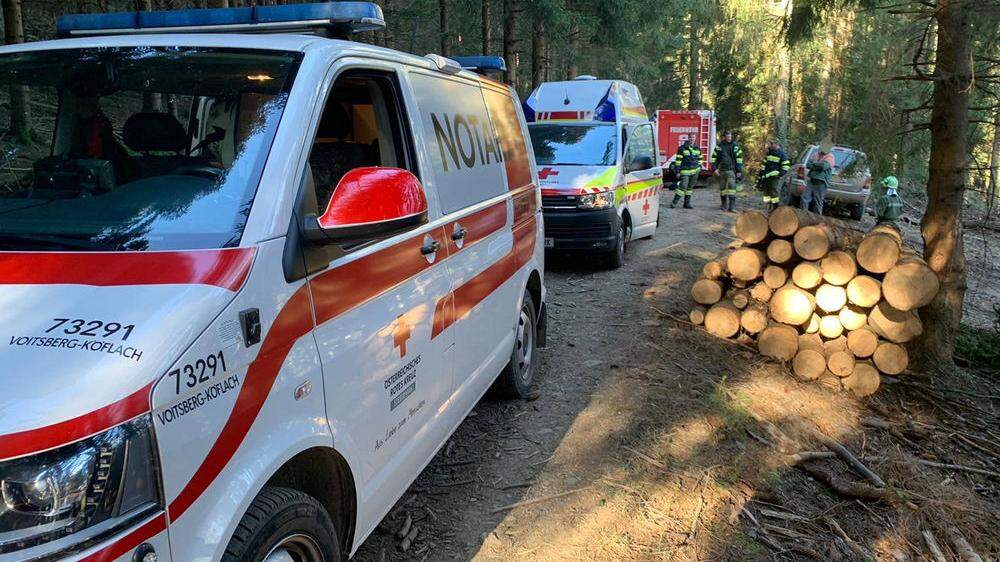 Das Rote Kreuz Voitsberg-Köflach und die Feuerwehr Geistthal retteten den Verletzten