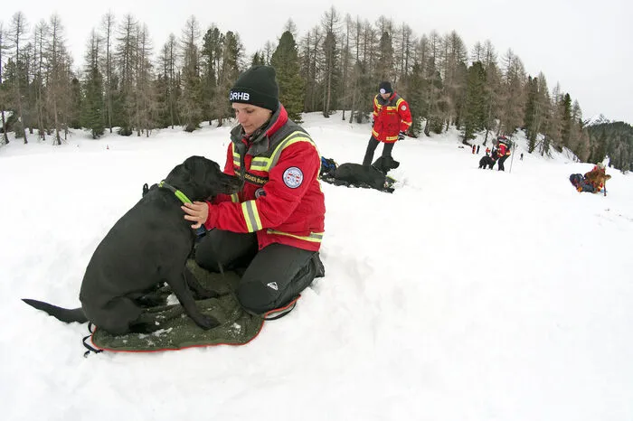 Die Lawinenhundeteams der Österreichischerettungshundebrigade müssen sich alljährlich der Lawinenprüfung für Rettungshunde nach dem hohen Standard der ÖKV/FCI Prüfungsordnung stellen und diese mit mindestens der Note „gut“ bestehen.