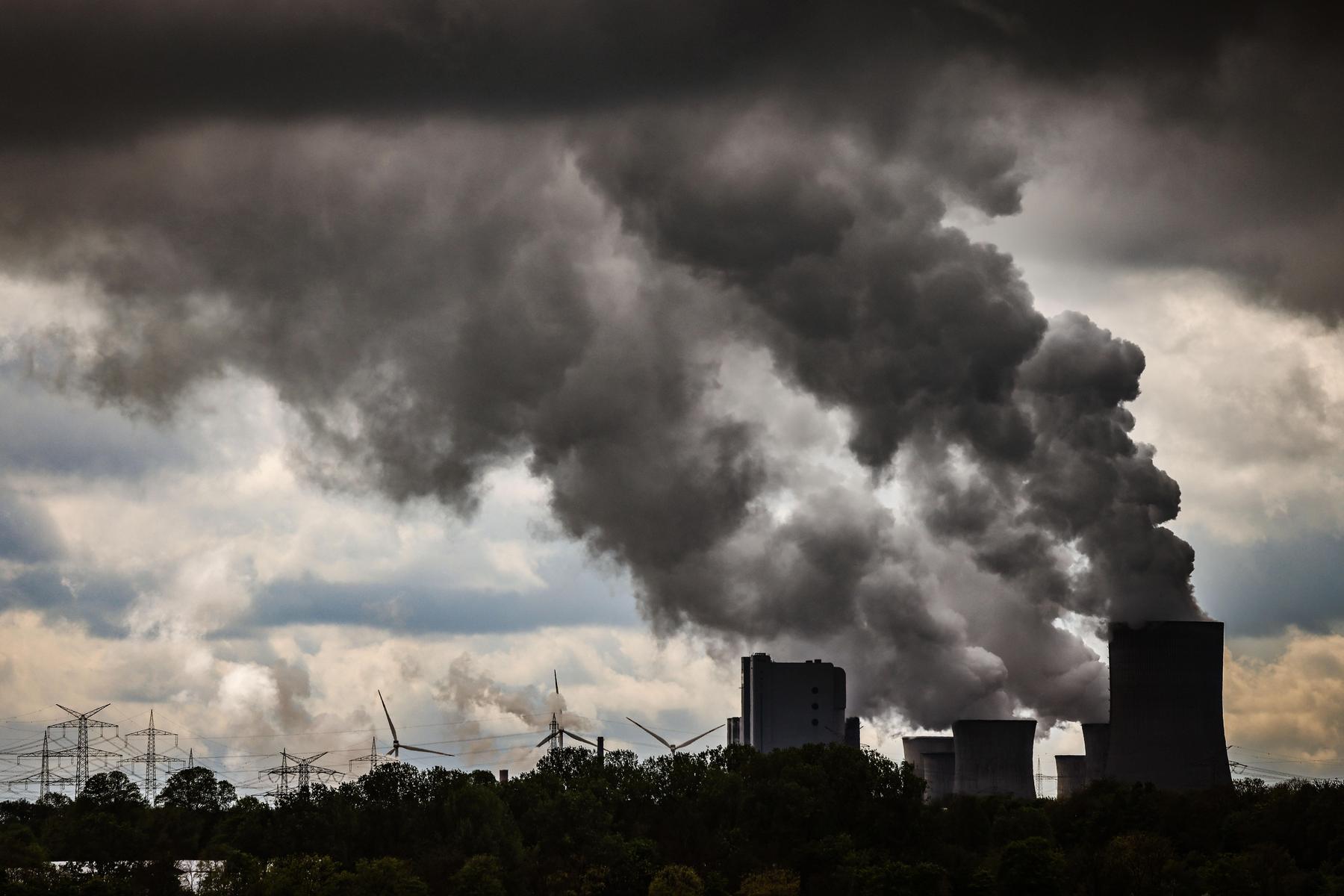 Klimaaktivisten wollen Land von Energiekonzern RWE für Millionenbetrag kaufen 