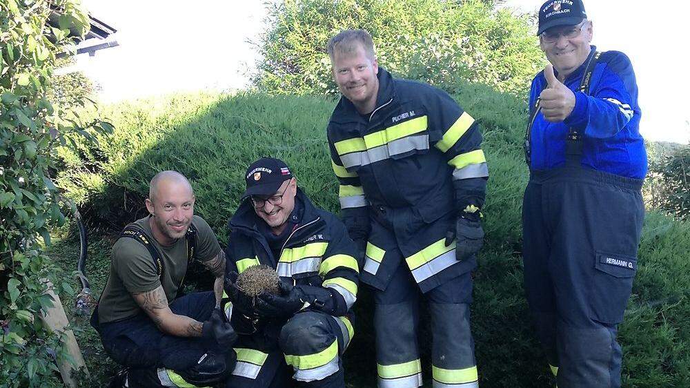Tierischer Einsatz für die Feuerwehr Kirchbach