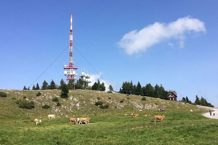 Zwei Menschen starben nach Herzstillständen auf den steirischen Bergen: Eines der Opfer war für das Rolling-Stones-Konzert in die Steiermark gekommen. Mehr dazu. 