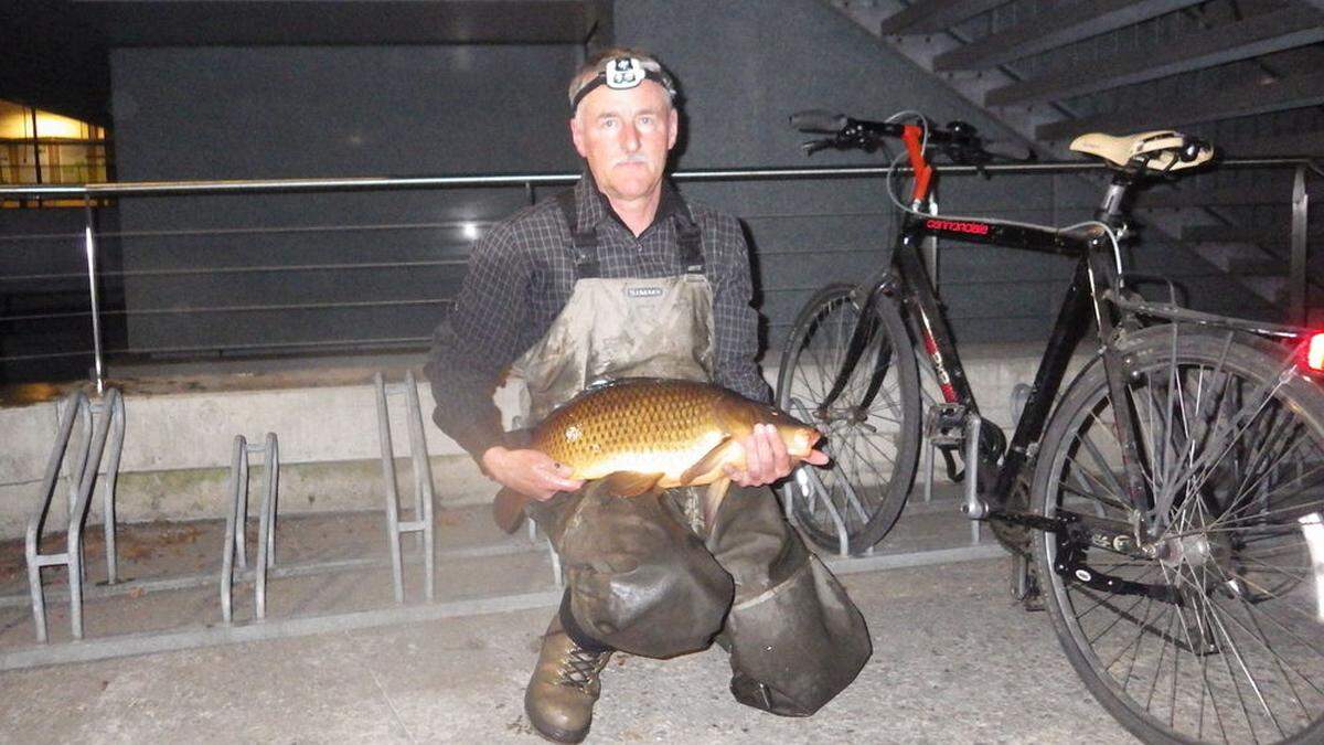 Prächtige Karpfen wurden aus dem Uni-Teich abgefischt