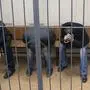 Three men, from the left: Tamerlan Eskerkhanov, Shagid Gubashev and Khamzad Bakhaev suspected of involvement in the killing of Boris Nemtsov sit in a court room in Moscow, Russia, Sunday, March 8, 2015. A Russian court on Sunday charged two men in the killing of leading opposition figure Boris Nemtsov and ordered three other suspects to remain in jail pending a decision on whether to file charges. (AP Photo/Ivan Sekretarev)