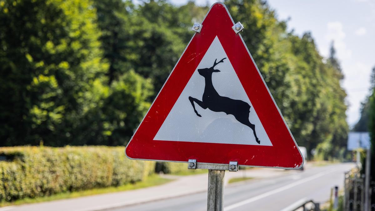 Die Warnschilder für Wildwechsel sollten unbedingt beachtet werden, wenn ein Unfall passiert muss der zuständige Jäger informiert werden