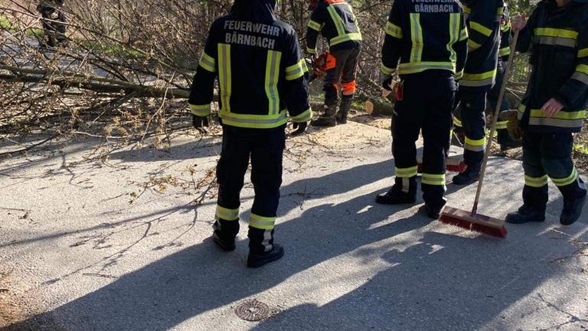 Mittels Motorsäge zerkleinerten die Feuerwehrleute den Baum