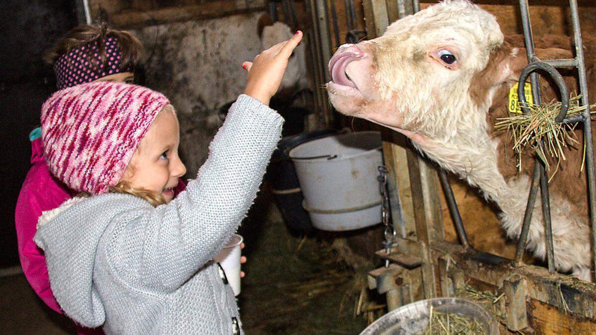 Beim Aktionstag der Bäuerinnen und Bauern besuchten Schüler einen Bauernhof in Unterort