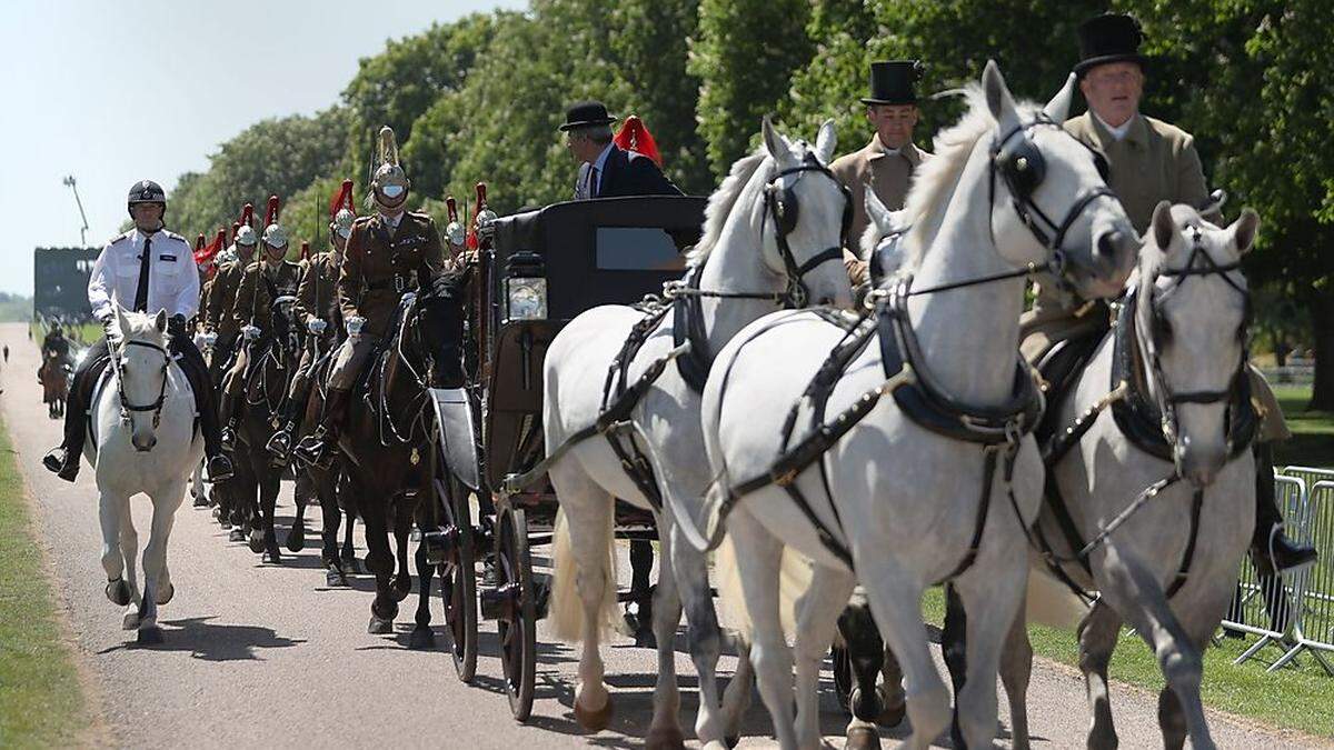 Vier weiße Pferde ziehen die Kutsche, in der Meghan und Harry sich am Samstag zeigen