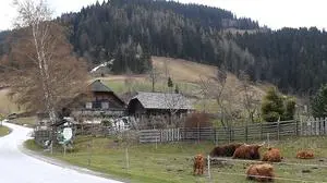 Die Gemeinde Gasen setzt in diesem Jahr auf Sanierungen und den Breitbandausbau