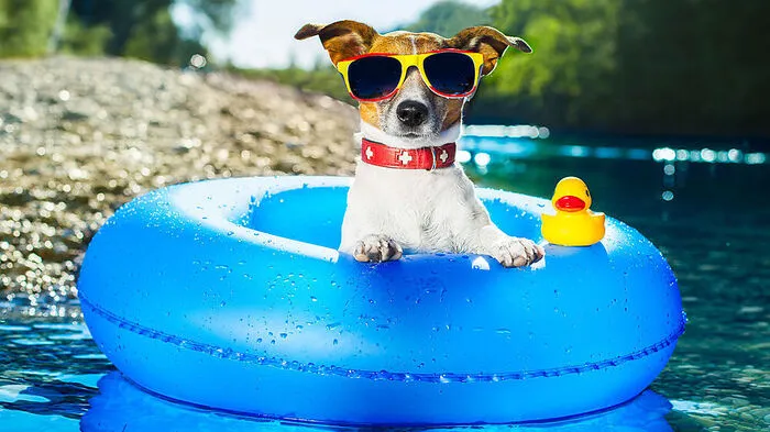 Ab in die Ferien!