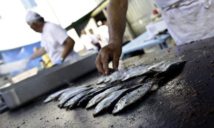 Die Fischküche hat in Grado eine große und köstliche Tradition