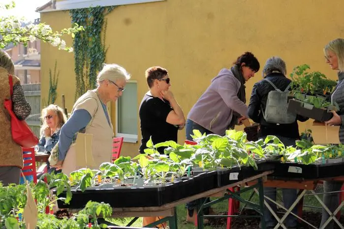 Jeder Kunde wurde bestens, professionell und mit vielen Tipps über Produkte und Zucht informiert. Die beiden Weststeirer betreiben die eine feine Landwirtschaft, bekannt als die „Schneßl-Huabn“, in Steinberg 97 in der Marktgemeinde Ligist. Weitere Infos unter www.vorsichtgemüse.at.