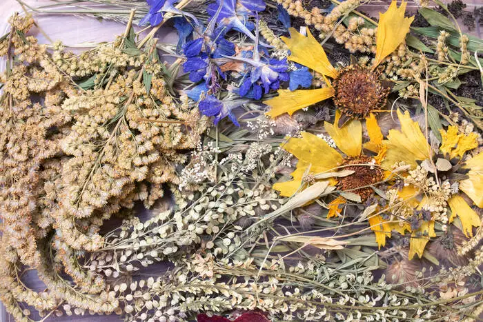 Viele Wiesenblumen eignen sich als Trockenblumen