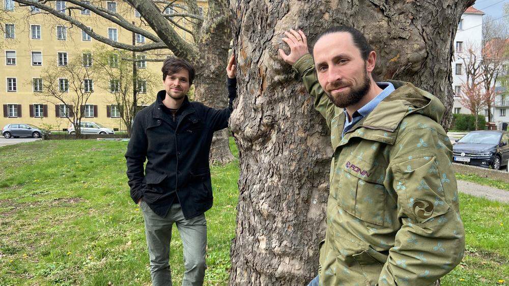 Bastian Rainer und Tomas Stoisser sind bei der Abteilung Grünraum und Gewässer der Stad Graz unter anderem für das Maßnahmenpaket Grazer Stadtbaum zuständig