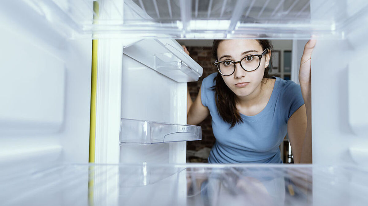 Nützliches Wissen: Sterben Bakterien im Tiefkühlschrank?