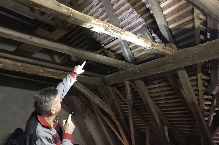 Binker zeigt den massiven Holzfraß im Gebälk des Dachstuhls - er ist gut zu sehen.
