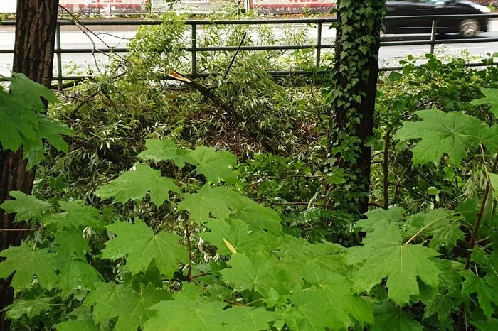 ... Mittwochabend auch Graz und Umgebung heimsuchten.
