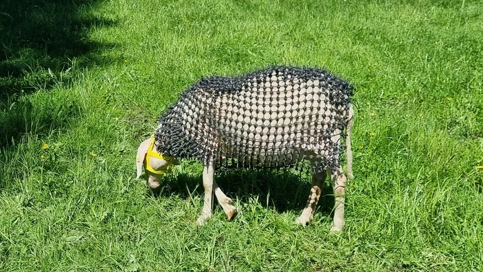 Ein erster Test sorgte für Anzeigen von Tierschützern
