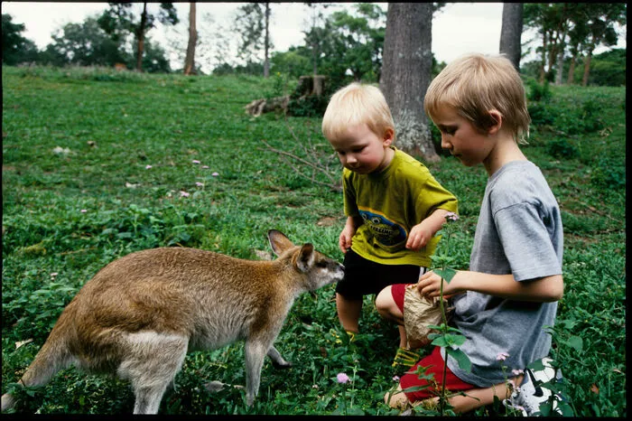 Nico und Laurin bei einer Begegnung mit einem Känguru in Australien. Hier lebte die Familie insgesamt zehn Monate lang.