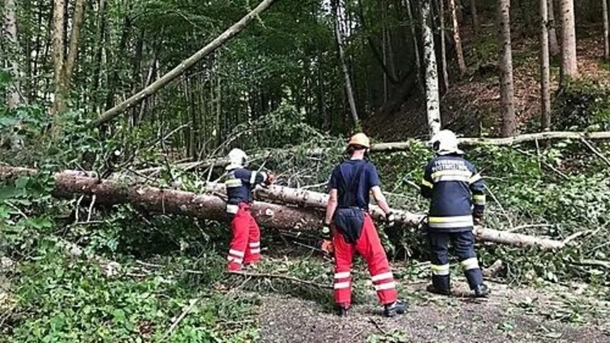 Der Sturm ließ Bäume knicken