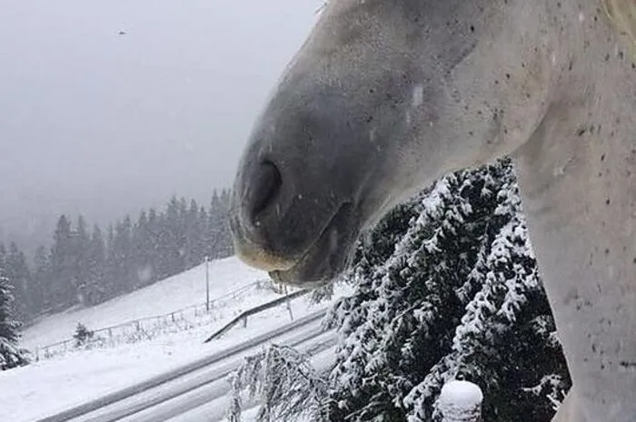 Brrrr, kalt: So schaut's auf dem Gaberl aus.