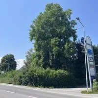 Für das Areal gegenüber der Firma Binder & Co. und der Straßenmeisterei wurden Bebauungspläne beschlossen