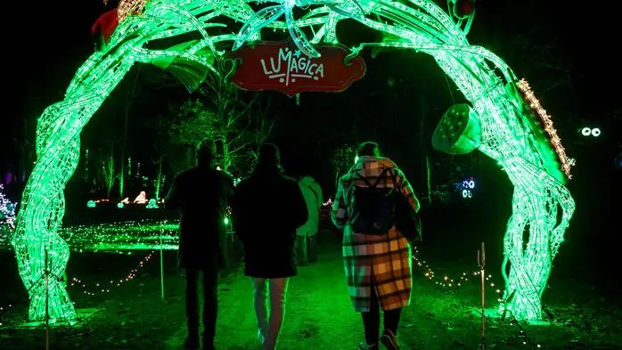Ab 14. November ist die vierte Ausgabe von Lumagica offen