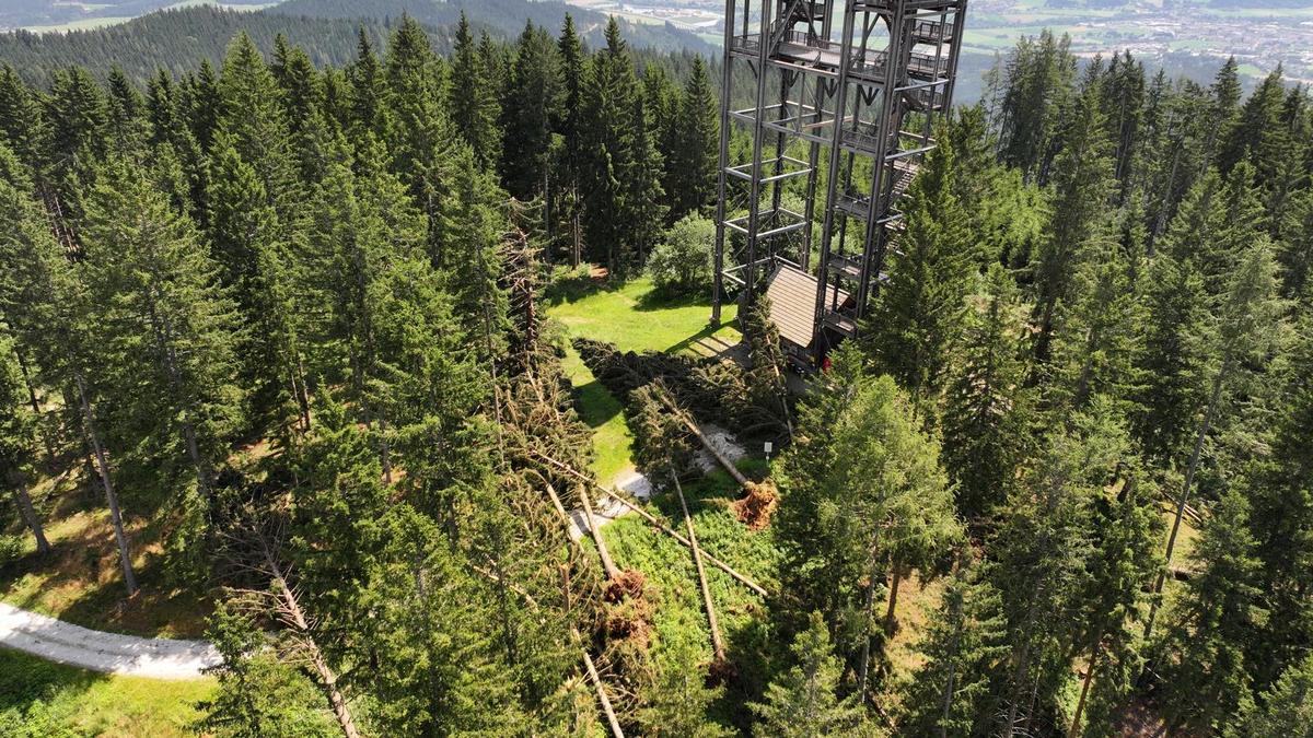 Am Tremmelberg knickten die Bäume, auch nahe dem beliebten Turm im Gebirge