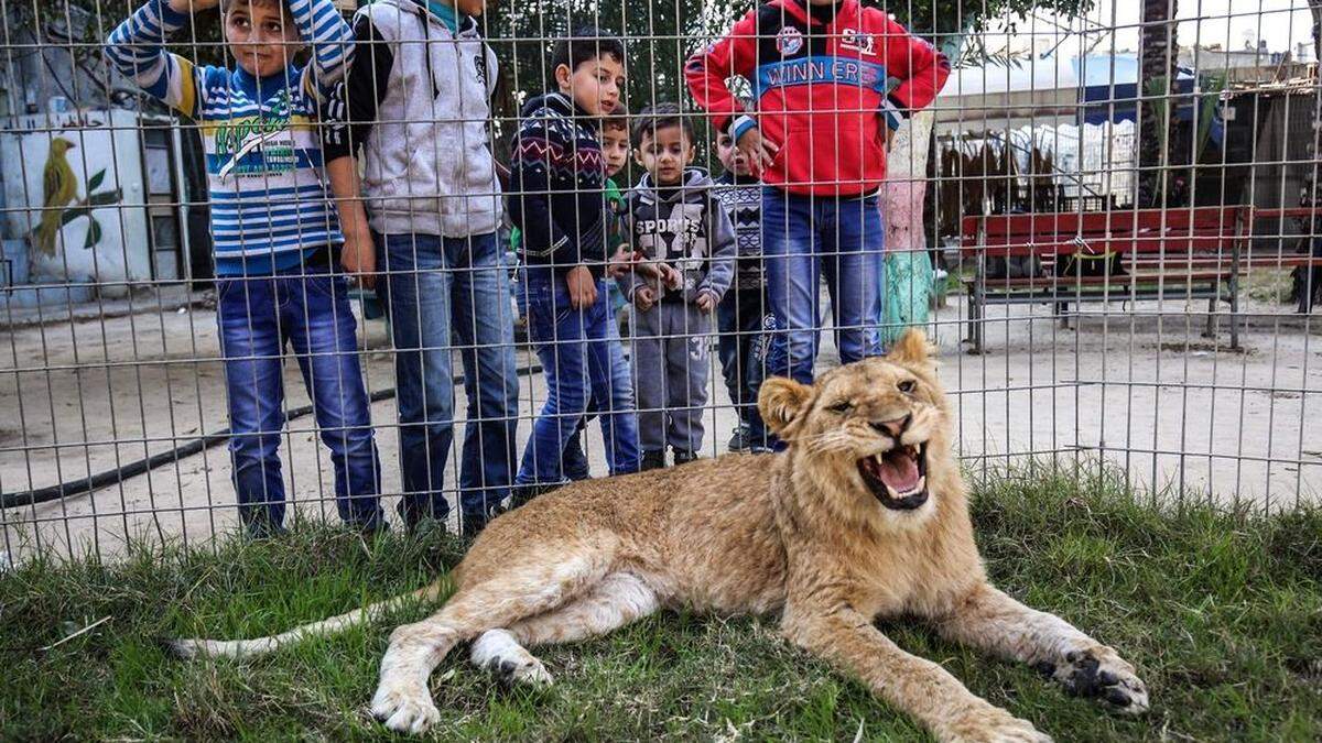 &quot;Falestine&quot; musste grausame Praktiken über sich ergehen lassen