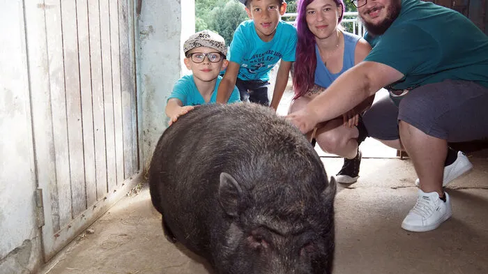 "Schwein gehabt, es ist sich mit dem Wetter für das Sommerfest ausgegangen", sagten die Gäste, die Freitag am Nachmittag zum Grafensteiner Gnadenhof, dem Melcherhof in Truttendorf kamen.