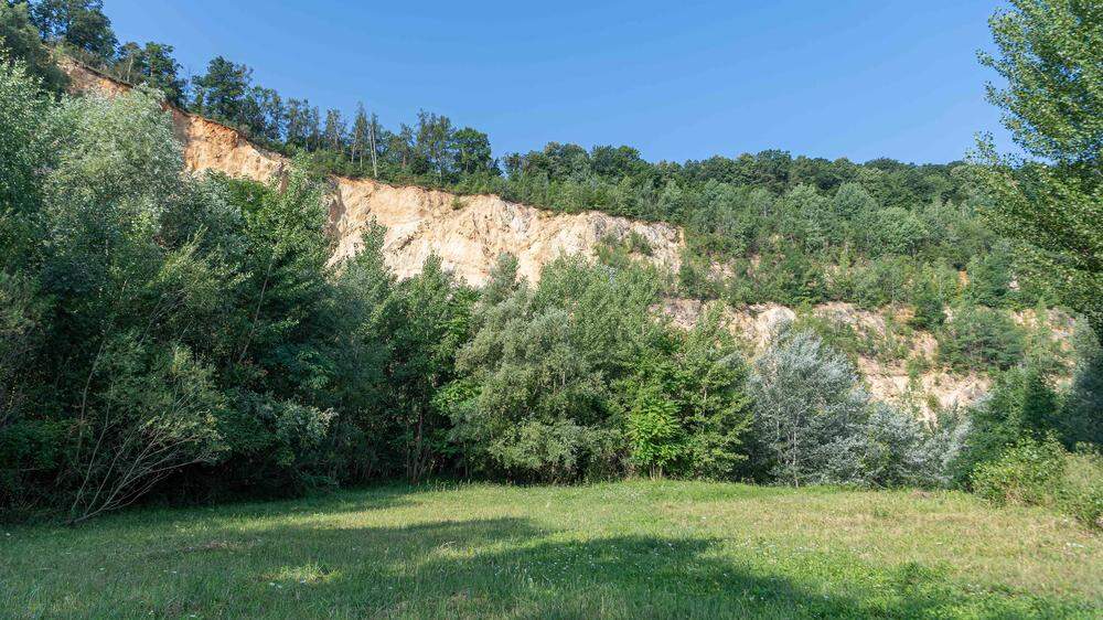 Beim Karolinensteinbruch am Plabutsch wäre laut Fachleuten ein möglicher Standort für einen Kavernenspeicher im Berg