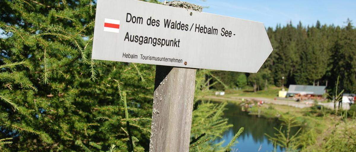 Gleich hinter dem Hebalm-See befindet sich der &quot;Dom im Wald&quot;, der wieder kostenlos und frei zugänglich ist