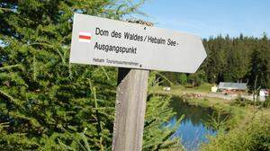 Gleich hinter dem Hebalm-See befindet sich der &quot;Dom im Wald&quot;, der wieder kostenlos und frei zugänglich ist