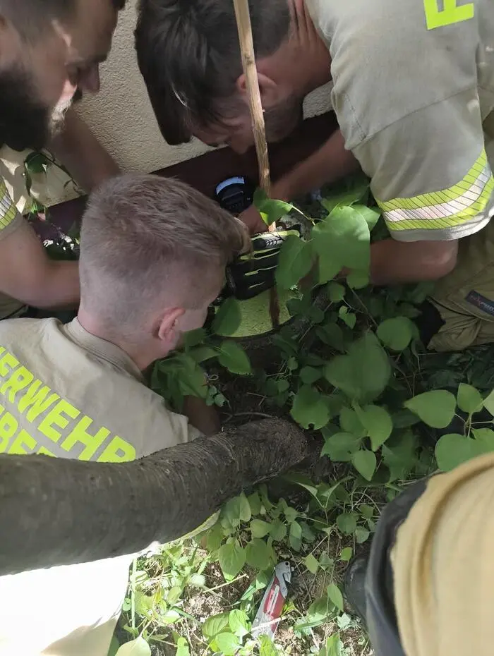 Rund eine Stunde hat der Feuerwehreinsatz gedauert