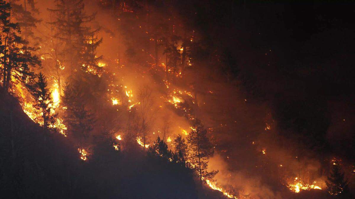 Anhaltende Trockenheit erhöht auch in Kärnten die Waldbrandgefahr