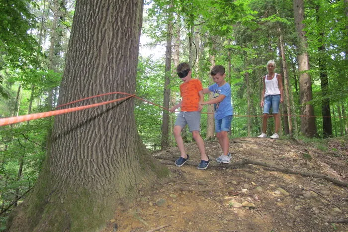Einen Waldparcours mit verbundenen Augen schaffen, nur durch die Anweisungen des Partners erfordert blindes Vertrauen.