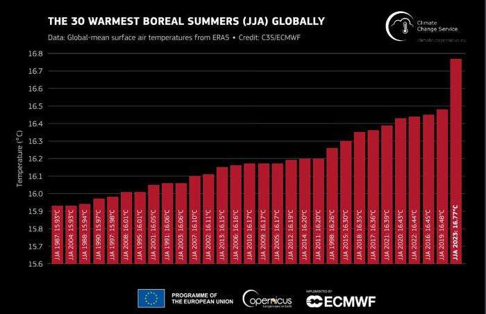 Der Sommer 2023 war der heißeste seit rund 2.000 Jahren