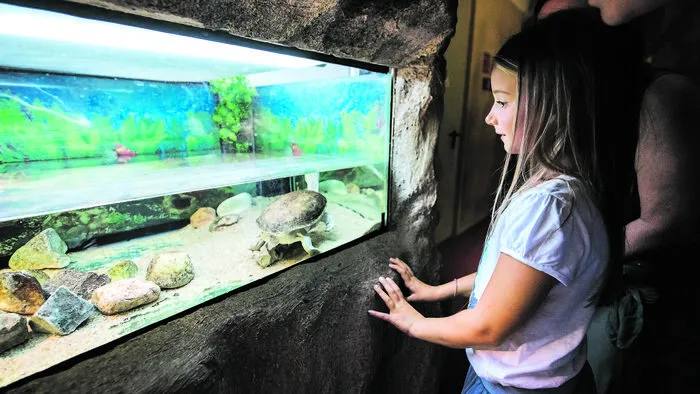 Im Meerestierpark „Sea Life“ und im „Tropicarium Park“ lassen sich unzählige Tierarten bestaunen
