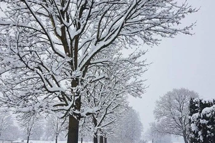 Tief verschneite Straßen gab es auch in der Gemeinde Lang