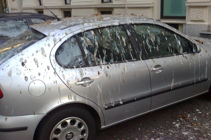 "Wenn du Pech hast, musst du drei bis vier Mal in die Waschstraße."