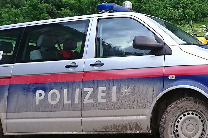 Eine 50-Jährige wurde in Leoben beim Gassi gehen mit ihrem Hund von einem unbekannten Mann unsittlich belästigt. Mehr dazu